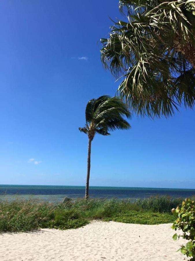 Paradise Found Cayo Hueso Key West Exterior foto
