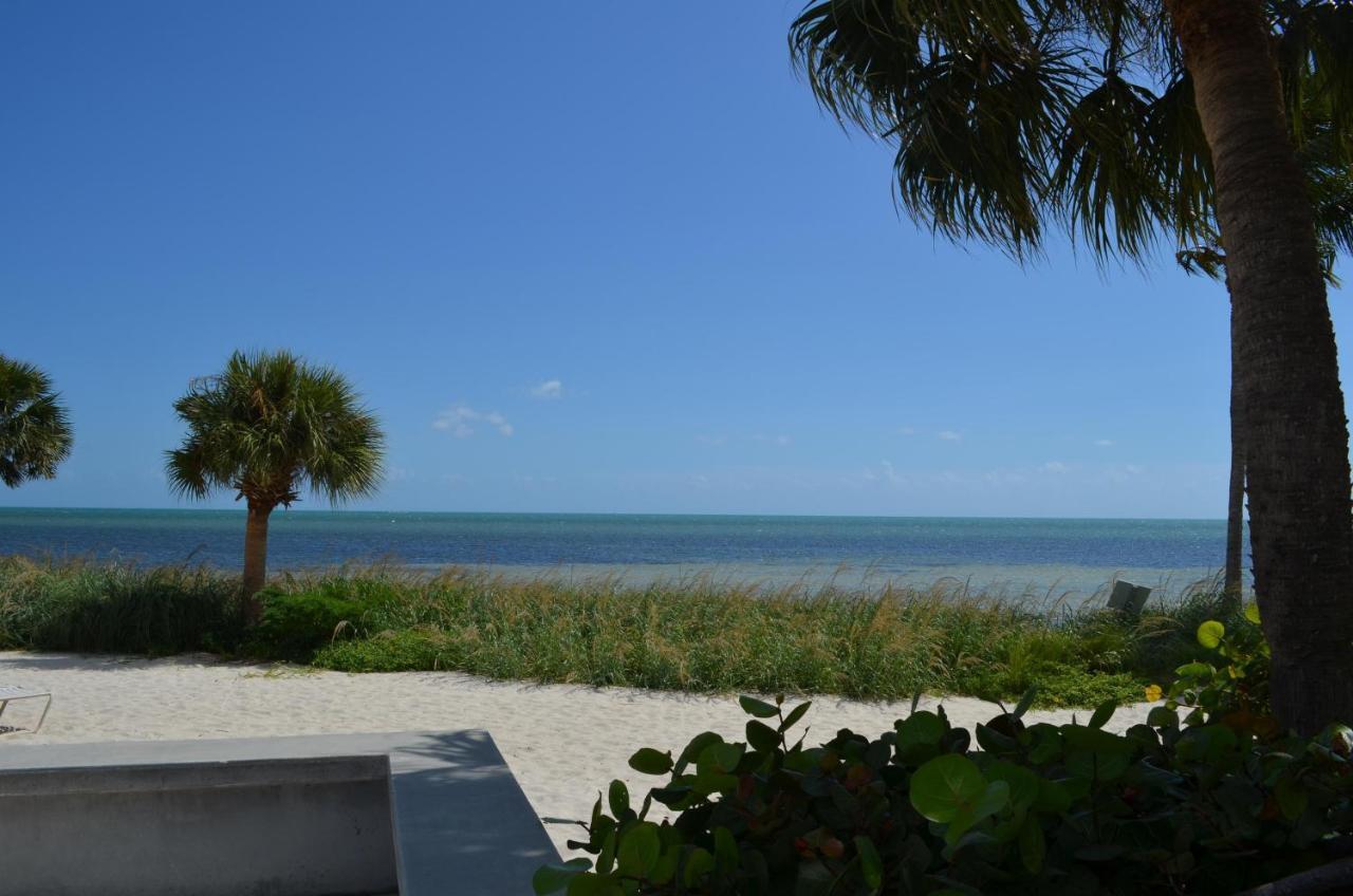 Paradise Found Cayo Hueso Key West Exterior foto