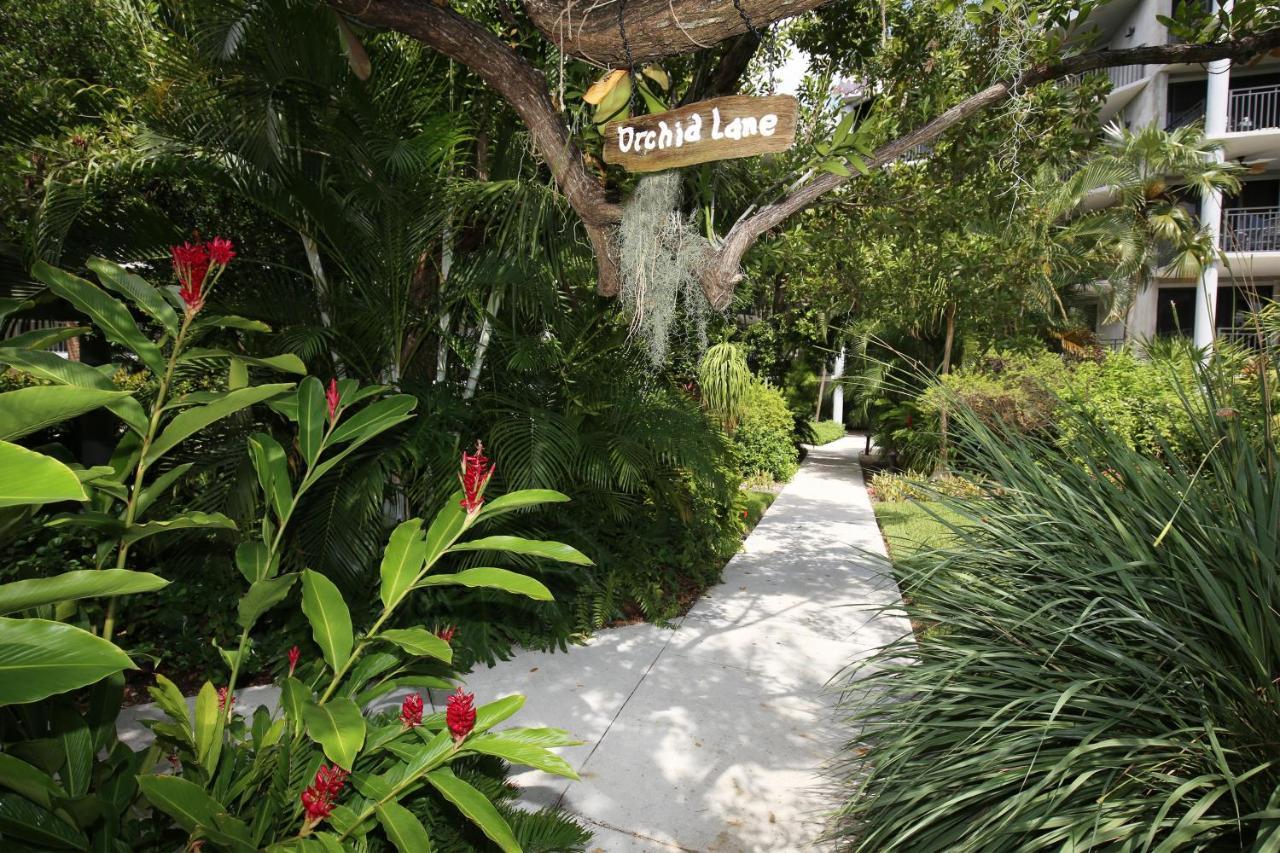 Paradise Found Cayo Hueso Key West Exterior foto