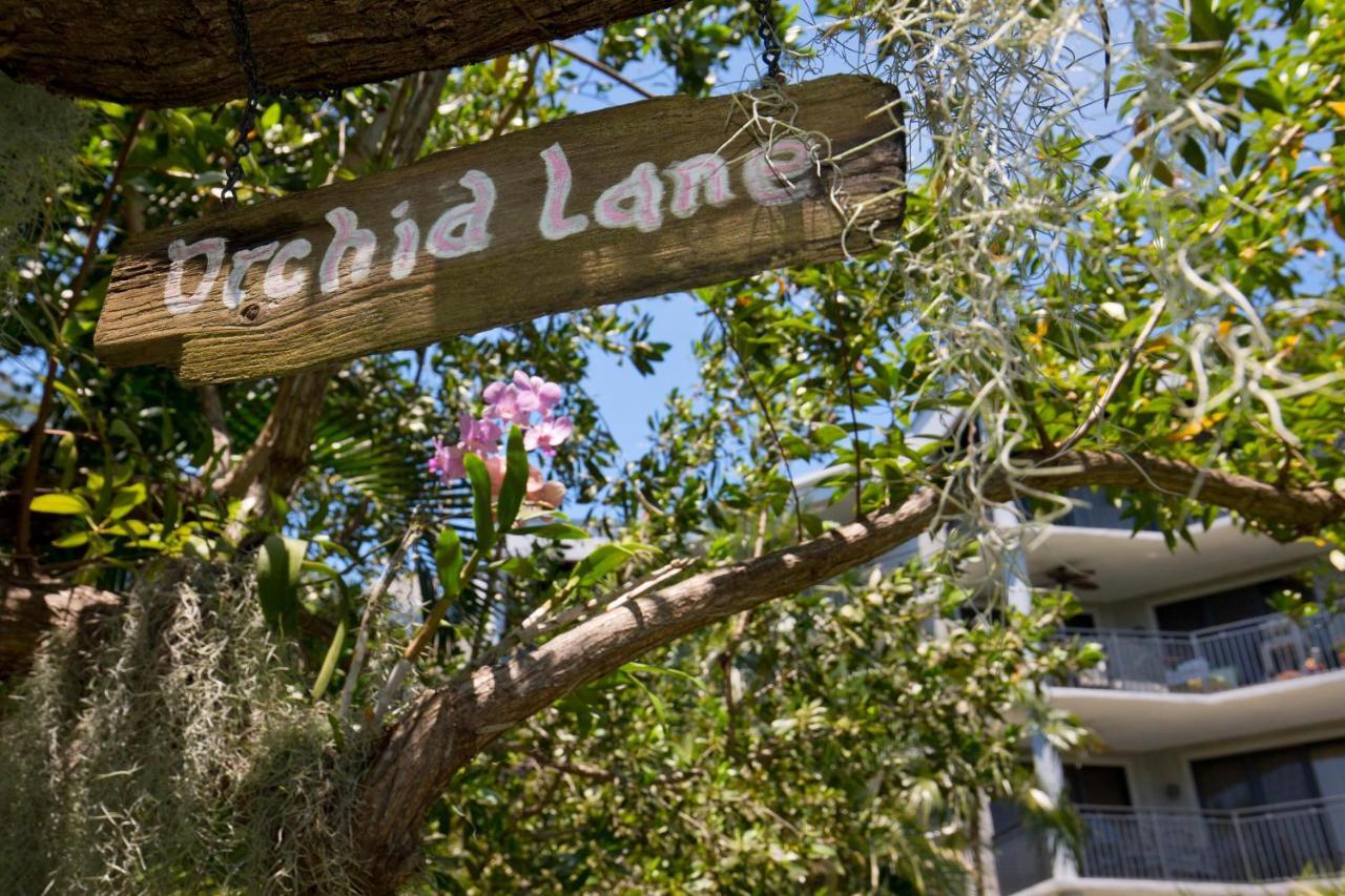 Paradise Found Cayo Hueso Key West Exterior foto